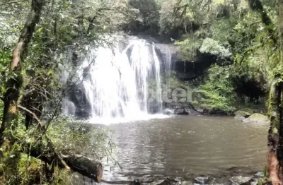 Terreno à venda na avenida josé pedro piva, 1000, bosque sinoserra, canela, 92711 m2 por r$ 12.000.000