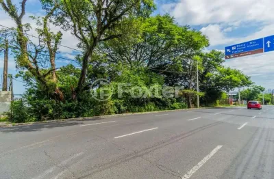 Terreno à venda na avenida pinheiro borda, 267, cristal, porto alegre, 484 m2 por r$ 1.500.000