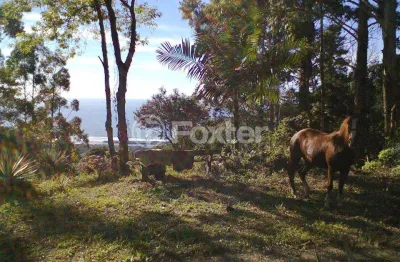 Terreno à venda na estrada paulo lopes, 500, centro, paulo lopes, 33000 m2 por r$ 1.800.000