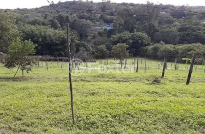 Terreno comercial à venda na avenida belém velho, 3580, vila nova, porto alegre, 6396 m2 por r$ 1.300.000