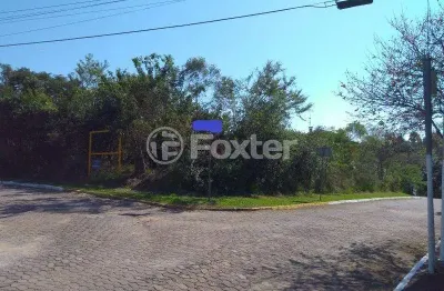 Terreno em condomínio fechado à venda na rua pau brasil, 38, são lucas, viamão, 1460 m2 por r$ 593.750