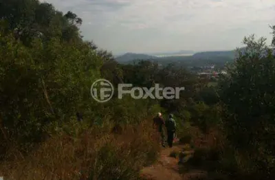 Terreno comercial à venda na beco restinga, 5019, restinga, porto alegre, 20000 m2 por r$ 1.900.000