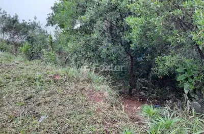 Terreno à venda na avenida altos do santa rita, 520, aberta dos morros, porto alegre, 172 m2 por r$ 70.000