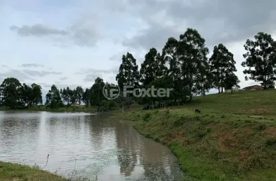 Fazenda à venda na travessa albino gollo, 1463, capela são pedro, camaquã, 70000 m2 por r$ 4.655.000