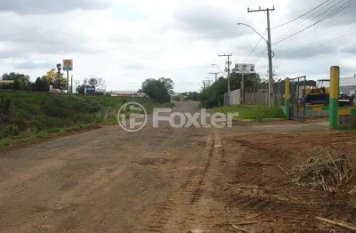 Terreno comercial à venda na rodovia br-386, 1, centro, nova santa rita, 2000 m2 por r$ 1.080.000