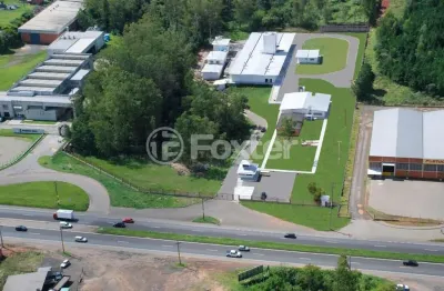 Barracão / galpão / depósito à venda na avenida parobé, 5675, boa vista, são leopoldo, 1450 m2 por r$ 21.850.000