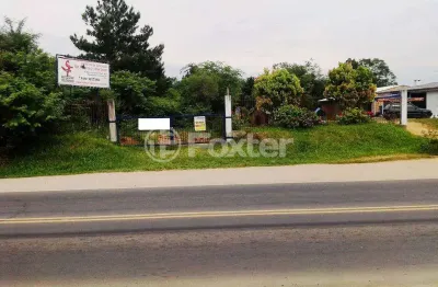 Terreno comercial à venda na avenida delegado ely corrêa prado, 1340, mário quintana, porto alegre, 25500 m2 por r$ 3.200.000