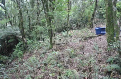 Terreno à venda na rodovia vrs-873, km 03, centro, morro reuter, 829 m2 por r$ 142.000