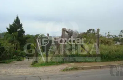 Terreno à venda na estrada joão de oliveira remião, 6050, lomba do pinheiro, porto alegre, 5550 m2 por r$ 3.000.000