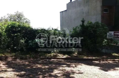 Terreno à venda na rua professor antônio d'ávila, 349, sétimo céu, porto alegre, 301 m2 por r$ 450.000