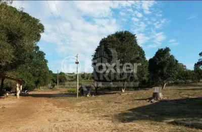 Terreno à venda na estrada francisca de oliveira vieira, 2485, belém novo, porto alegre, 313000 m2 por r$ 15.000.000