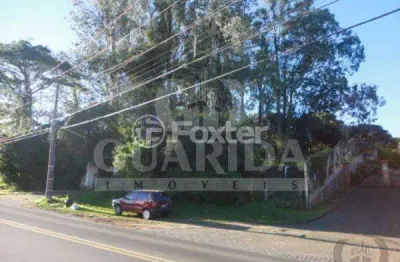Terreno à venda na avenida vicente monteggia, 2130, cavalhada, porto alegre, 11664 m2 por r$ 3.000.000