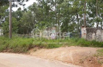 Terreno à venda na estrada antônio borges, 740, belém velho, porto alegre, 43800 m2 por r$ 1.139.050