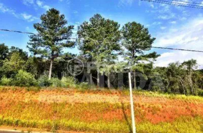 Terreno à venda na rua henrique anawate, 165, guarujá, porto alegre, 216 m2 por r$ 200.000