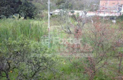 Terreno à venda na avenida juca batista, 3136, hípica, porto alegre, 6500 m2 por r$ 1.480.100