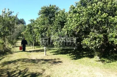 Terreno à venda na estrada afonso lourenço mariante, 2892, belém velho, porto alegre, 13935 m2 por r$ 448.200