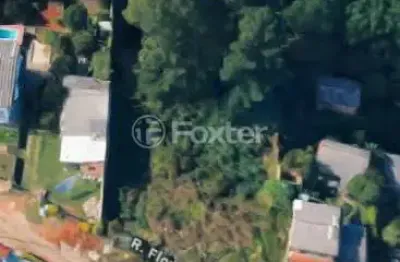 Terreno à venda na rua florestan fernandes, 151, vila nova, porto alegre, 1950 m2 por r$ 487.350