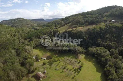 Terreno comercial à venda na rua rs, s/n, araripe, gramado, 24000 m2 por r$ 1.600.000