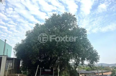 Terreno à venda na rua dea coufal, 903, ipanema, porto alegre, 385 m2 por r$ 300.000