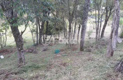 Fazenda à venda na rua da pedreira, 0000, centro, nova petrópolis, 11777 m2 por r$ 383.400