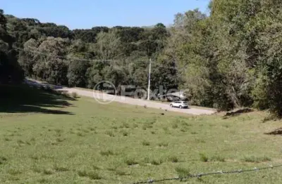 Terreno à venda na rua 17a, s/n, parque da ferradura, canela, 555 m2 por r$ 1.615.475