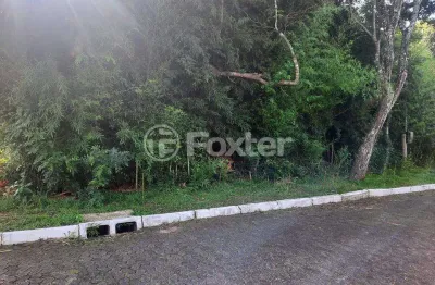 Terreno em condomínio fechado à venda na rua das figueiras, 206, são lucas, viamão, 420 m2 por r$ 140.000