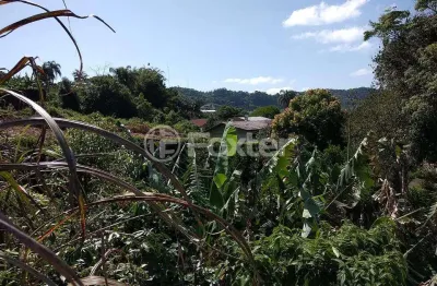 Terreno à venda na rua vo olinda, 47, bela vista, salvador do sul, 730 m2 por r$ 800.100