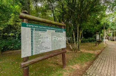 Casa em condomínio fechado com 4 quartos à venda na rua caroba, 360, são lucas, viamão, 354 m2 por r$ 3.657.500