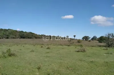 Terreno à venda na estrada do cemitério, 900, águas claras, viamão, 69756 m2 por r$ 1.116.100
