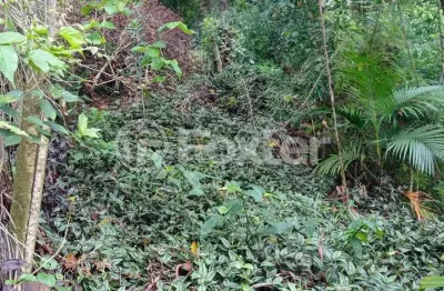 Terreno à venda na rua josé alves de castro, 64, vila nova, porto alegre, 479 m2 por r$ 460.000