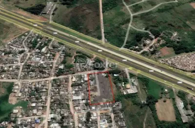 Terreno à venda na estrada dos capistranos, 2000, jardim betânia, cachoeirinha, 6000 m2 por r$ 783.000