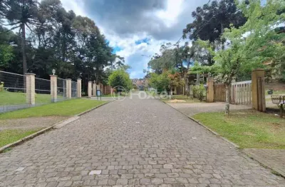 Terreno à venda na rua irmão albino bruneto, s/n, parque laje da pedra, canela, 640 m2 por r$ 750.000