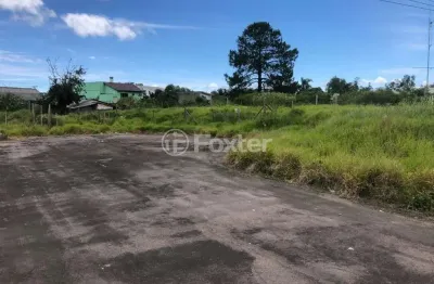 Terreno à venda na rua sezefredo nunes, 125, restinga, porto alegre, 877 m2 por r$ 171.000