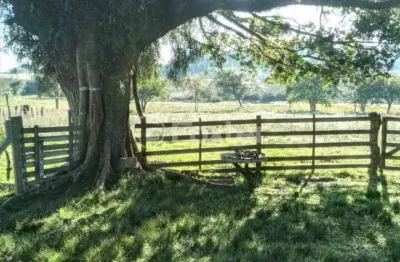 Terreno à venda na beco do ricardinho, 11040, morro grande, viamão, 24208 m2 por r$ 320.000