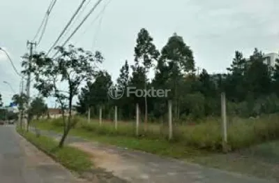 Terreno à venda na avenida juca batista, 2797, cavalhada, porto alegre, 1437 m2 por r$ 1.580.000