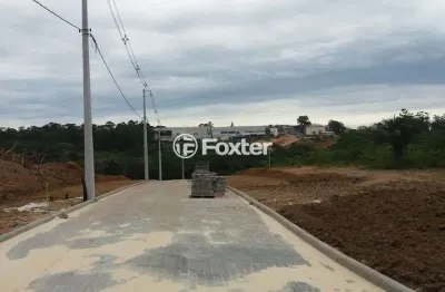Terreno em condomínio fechado à venda na avenida senador salgado filho, 5087, viamópolis, viamão, 446 m2 por r$ 240.000