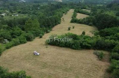 Fazenda à venda na estrada da branquinha, s/n, branquinha, viamão, 50000 m2 por r$ 2.800.000