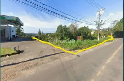Terreno à venda na estrada bérico josé bernardes, s/n, são tomé, viamão, 24166 m2 por r$ 3.900.000