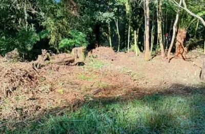 Terreno à venda na avenida mata atlântica, quadra 12, centro, são francisco de paula, 600 m2 por r$ 97.000