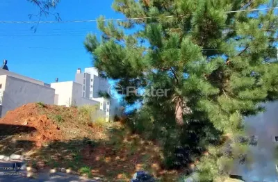 Terreno à venda na rua josé carlos corrêa costa, 311, oriço, gravataí, 300 m2 por r$ 256.000