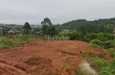 Terreno à venda na rua dalira bündchen, lote 11, floresta, estância velha, 290 m2 por r$ 170.000