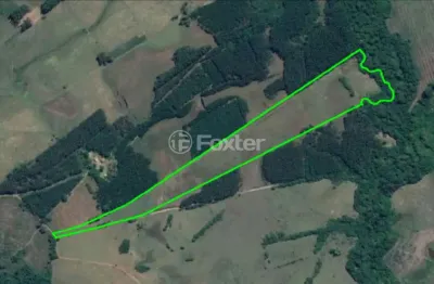 Fazenda à venda na rodovia tf-10, 25000, passo fundo, triunfo, 120000 m2 por r$ 600.000