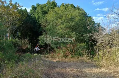 Terreno comercial à venda na rua conselheiro xavier da costa, 3094, ipanema, porto alegre, 2167 m2 por r$ 1.640.000
