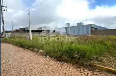 Terreno à venda na rua do ipê, 36, california, nova santa rita, 249 m2 por r$ 149.000