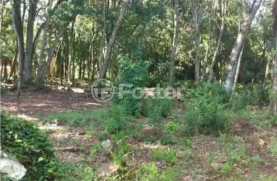 Fazenda à venda na rua angelo bizarro bossle, 321, tucanos, taquara, 180 m2 por r$ 130.000