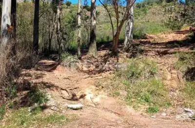 Terreno comercial à venda na Estrada Jorge Pereira Nunes, 1769, Campo Novo, Porto Alegre, 2283 m2 por R$ 250.000