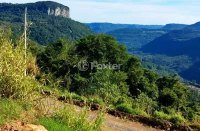 Fazenda à venda na Rua Antônio Grasse, S/Número, Linha Brasil Fundos, Nova Petrópolis, 30000 m2 por R$ 510.000