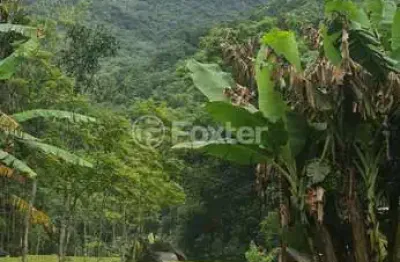 Fazenda com 1 sala à venda na Estrada Linha Mundo Novo, Km 4, Centro, Maquiné, 120 m2 por R$ 557.000