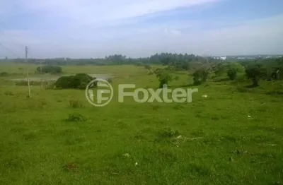 Terreno à venda na estrada pará morungava, 2900, cadiz, gravataí, 420000 m2 por r$ 15.000.000