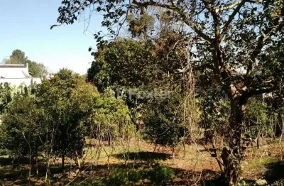 Terreno à venda na rua leopoldo feldens, 50, hidráulica, lajeado, 377 m2 por r$ 385.000
